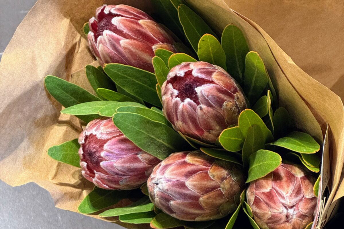 Kapstadt – The Mother City