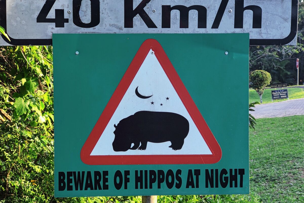 Hippo-Town