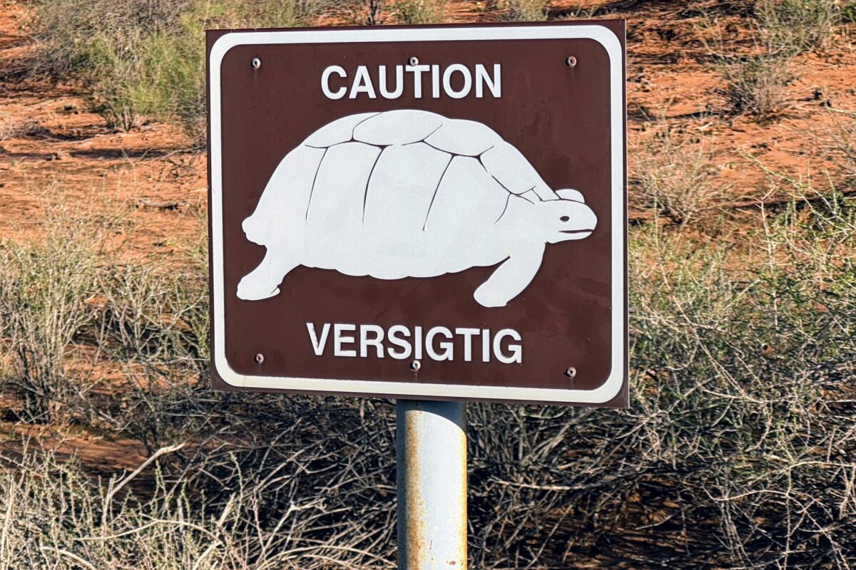 Kgalagadi Transfrontier Nationalpark